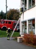 Bild vergr��ern