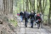 Bild vergr��ern