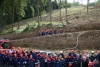 Bild vergrößern