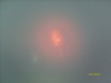 Bild vergr��ern