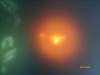 Bild vergr��ern