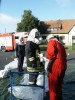 Bild vergr��ern