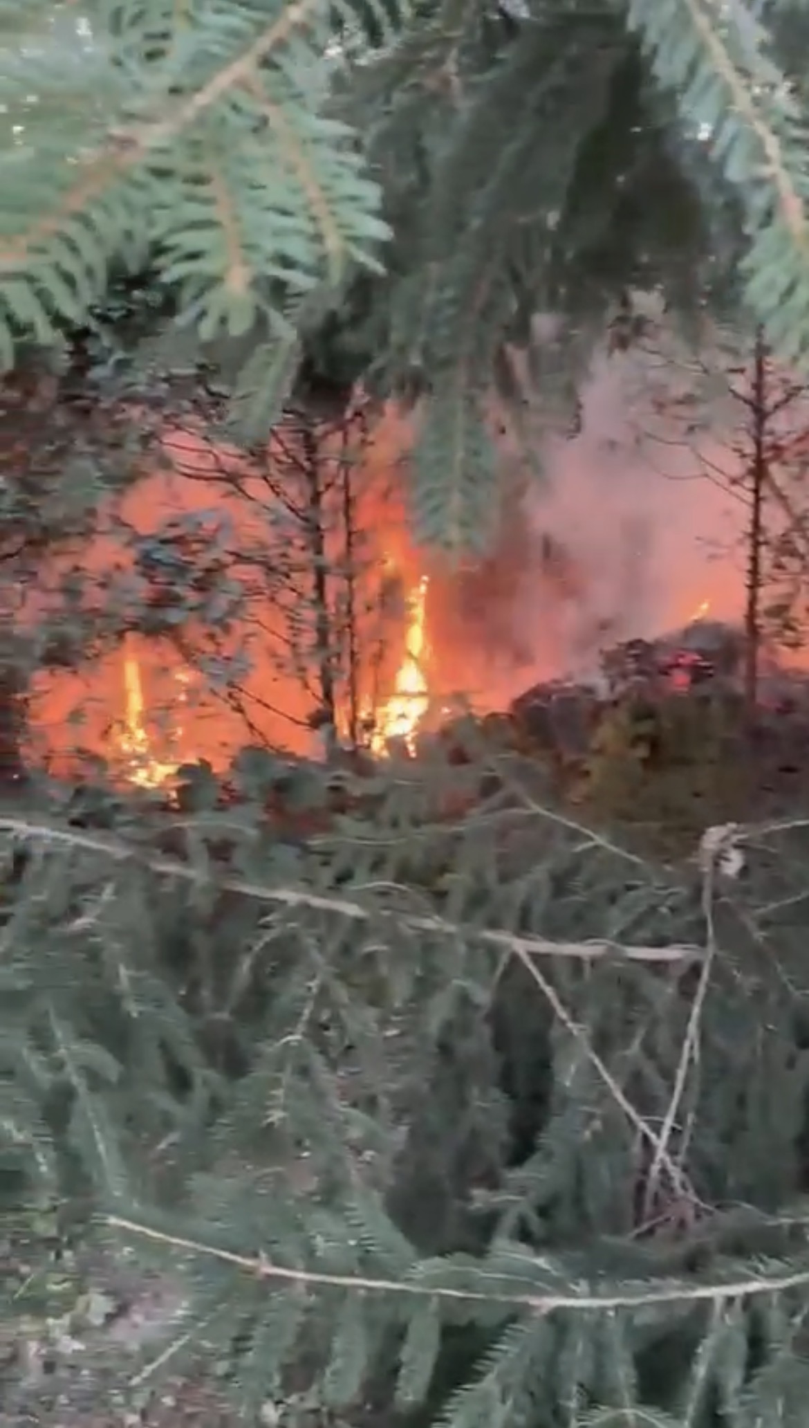 Blick auf den Brand (Bild: Anwohner)