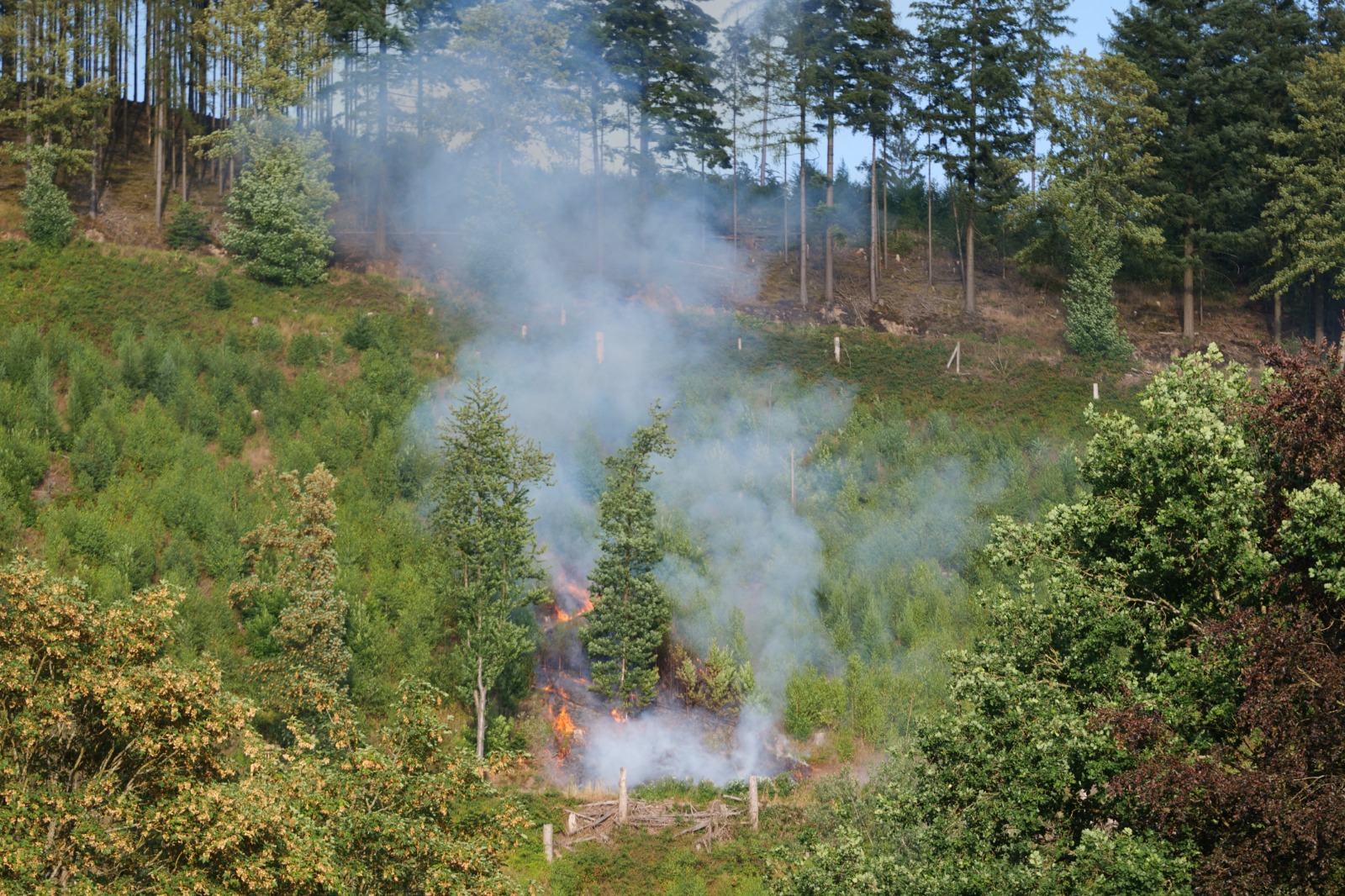 einsatzberichte_2026/Blick_auf_den_entstehenden_Flaechenbrand.jpg