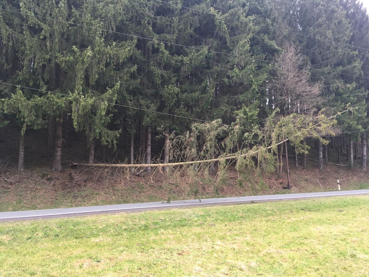 stadt_einsaetze_2018/IMG-20180129-WA0004.jpg stadt_einsaetze_2018/IMG-20180129-WA0004.jpg