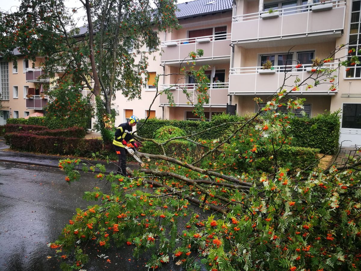 stadt_einsaetze_2018/IMG_20180809_164350_1.jpg stadt_einsaetze_2018/IMG_20180809_164350_1.jpg