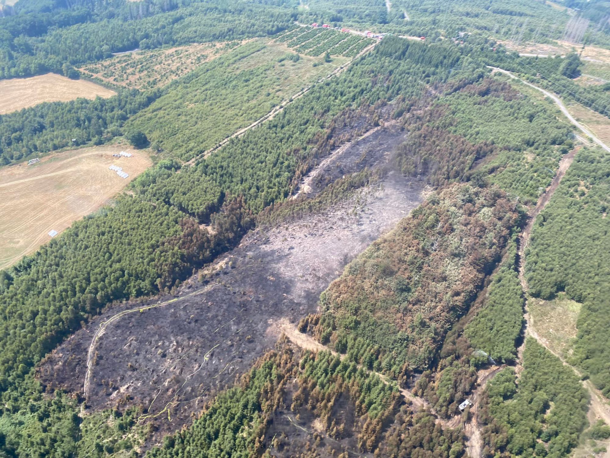 Blick auf die betroffene Fläche (Quelle: Feuerwehr Sundern)